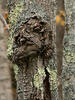 _A003920croofm.jpg